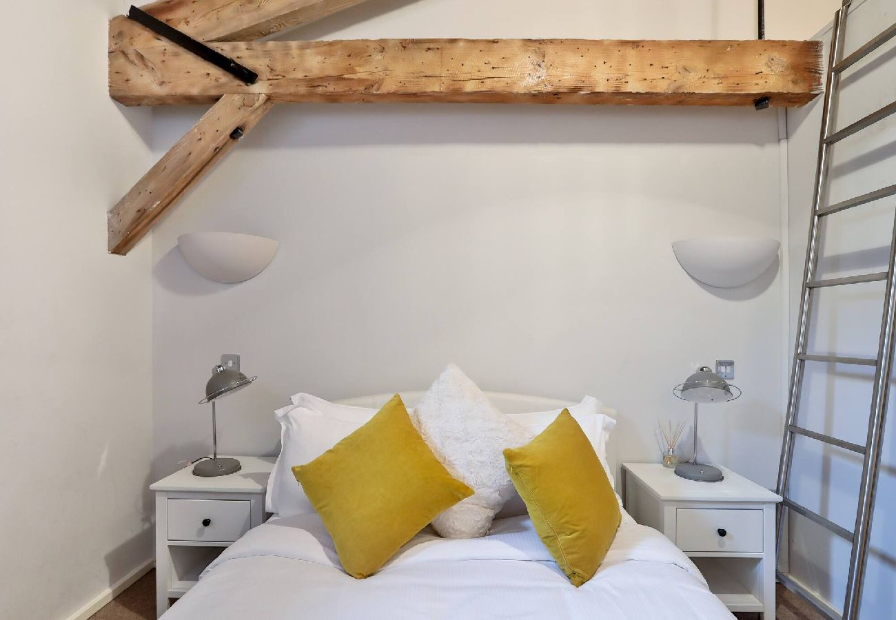 Apartment in London - ExCel Warehouse Conversion by Wild Roses 